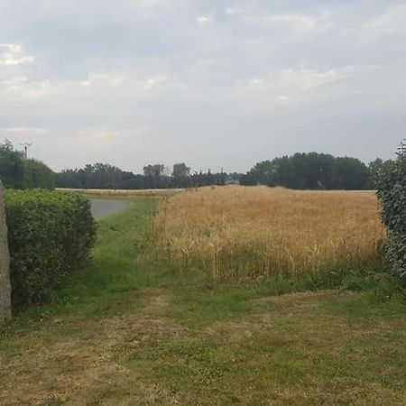 Gite 3 Places Au Coeur Du Tregor Langoat Luaran gambar